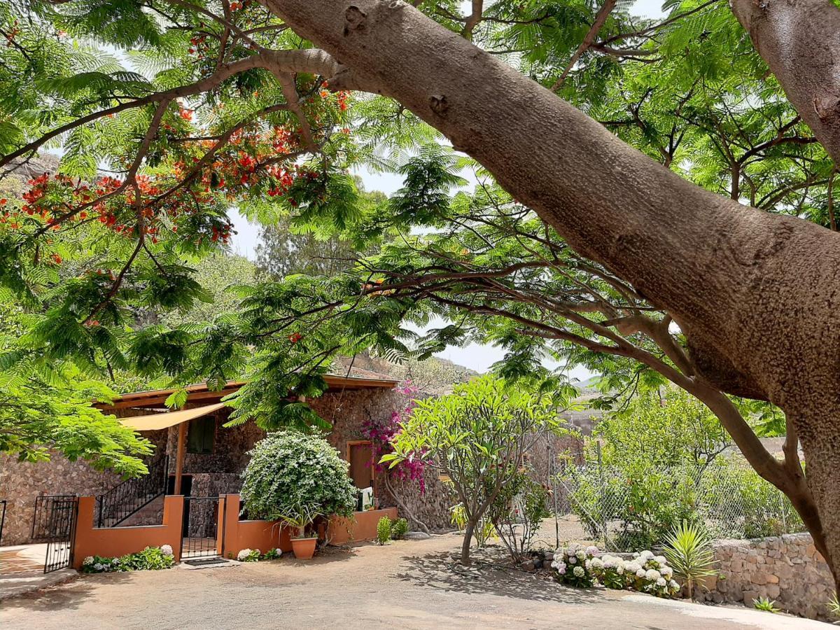 Peaceful House Set On A Vineyard & Work Friendly Villa Валсекийо Екстериор снимка
