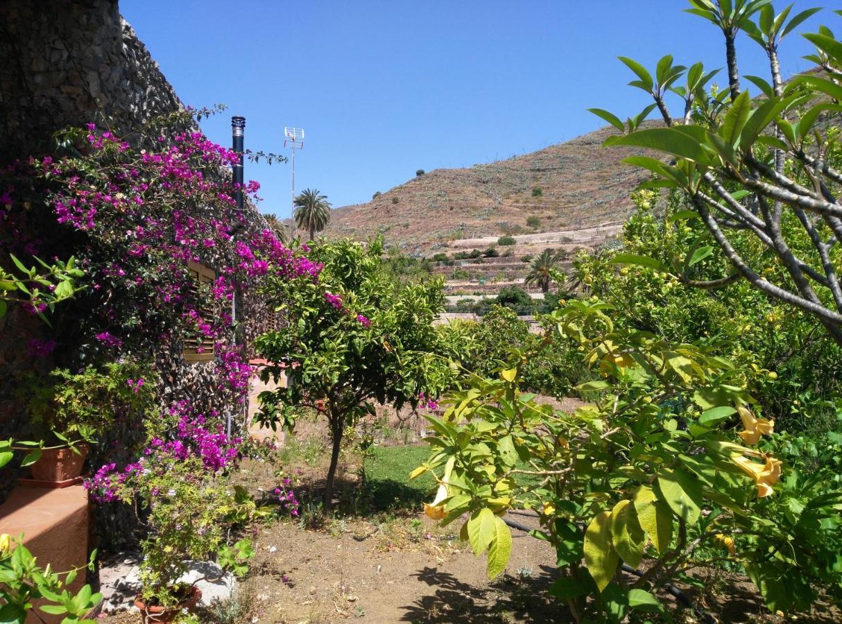 Peaceful House Set On A Vineyard & Work Friendly Villa Валсекийо Екстериор снимка